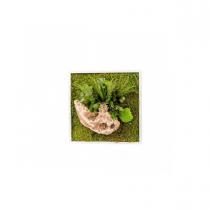 Flowerbed - Tableau végétal gamme nature, carré 35 x 35 cm