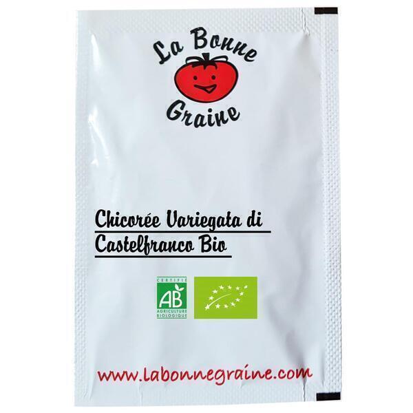 La Bonne Graine - Chicorée Variegata di Castelfranco Bio