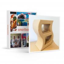 Smartbox - Atelier créatif de carton recyclé Hautes-Alpes - Coffret Cadeau