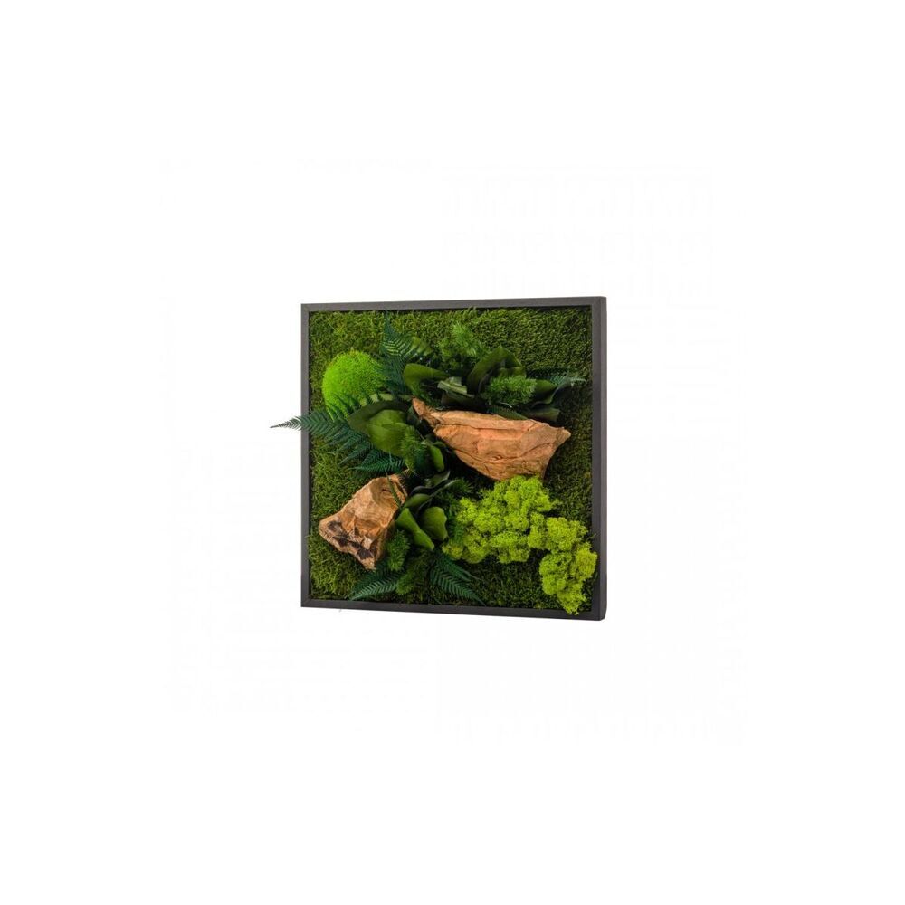 Naturalys - Tableau végétal CANOPEE carré 35 x 35 cm