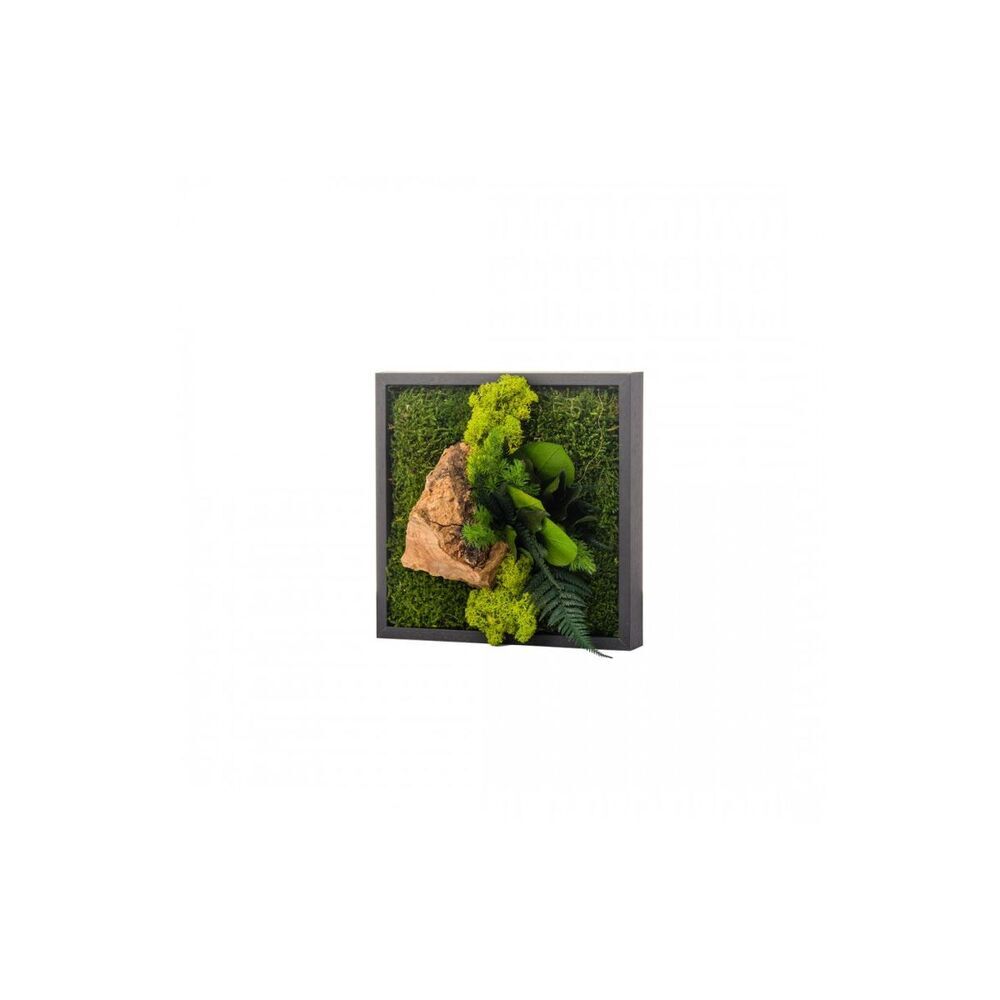 Naturalys - Tableau végétal CANOPEE Mono 22 x 22 cm