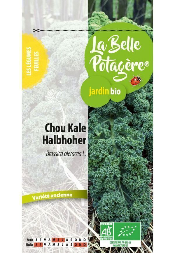 Ecodis - Chou kale Halboher 0.3 g