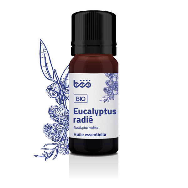 Böö - Huile Essentielle d'Eucalyptus Radié Bio - 10 ml