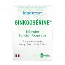 Phytosud - GinkgoSérine - Mémoire, fonction cognitive - Ginkgo Biloba