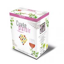 Cuvée Plaisir et Désir - Cuvée plaisir Vin de la terre de Castille - Rosé 5L