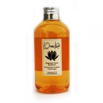 Loren Kadi - Shampooing Cheveux gras Gingembre Citron 210ml Loren Kadi - Shampooing Cheveux gras Gingembre Citron 210ml