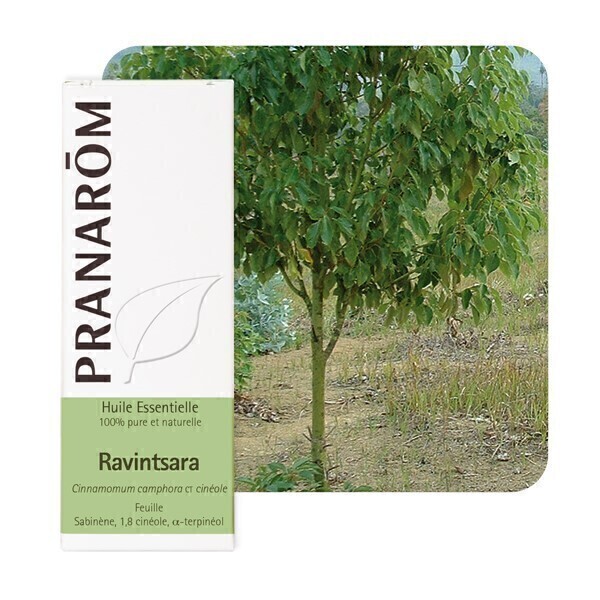 Pranarôm - Huile essentielle Ravintsara ct cinéol 10 ml