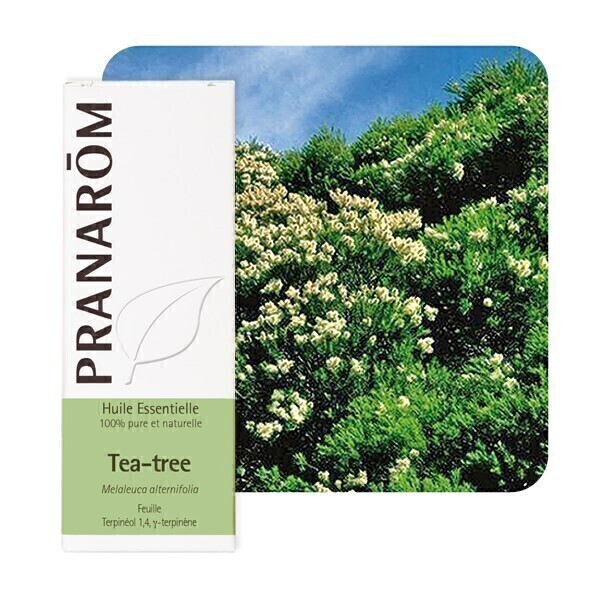 Pranarôm - Huile essentielle Tea-tree 10 ml