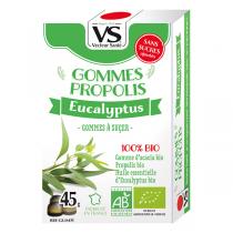 Vecteur Santé - Gommes propolis/eucalyptus bio 45g