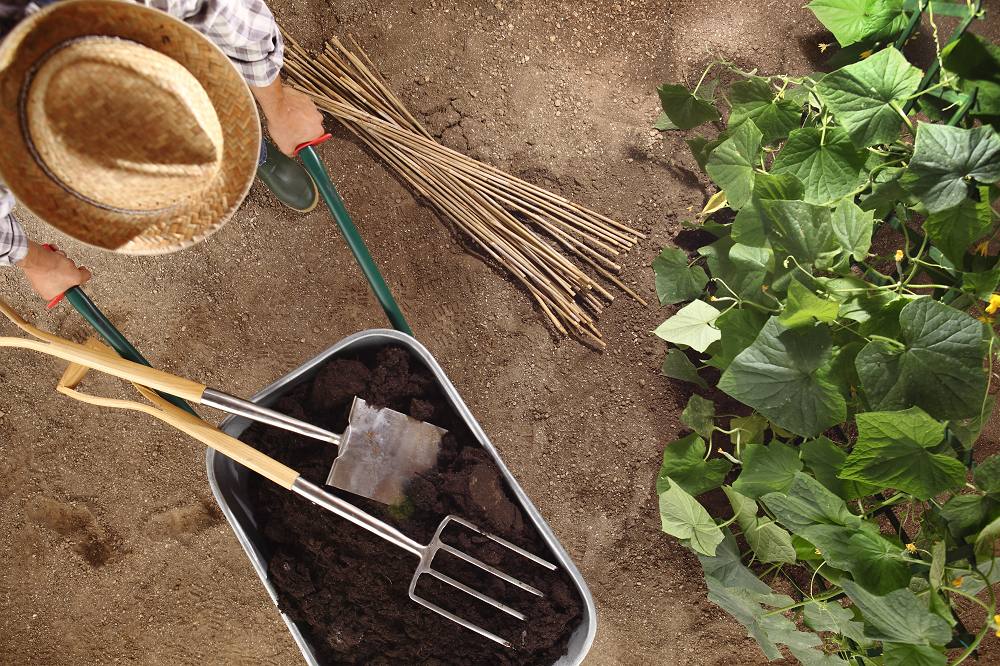 De la cuisine au balcon : le parcours du bokashi à la maison – ecovi