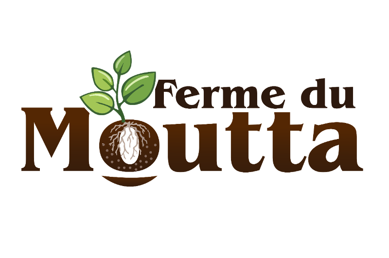 vendeur