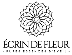 vendeur